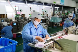 江蘇歐凱把握市場脈搏，深耕短保食品企業(yè)咨詢新藍(lán)海